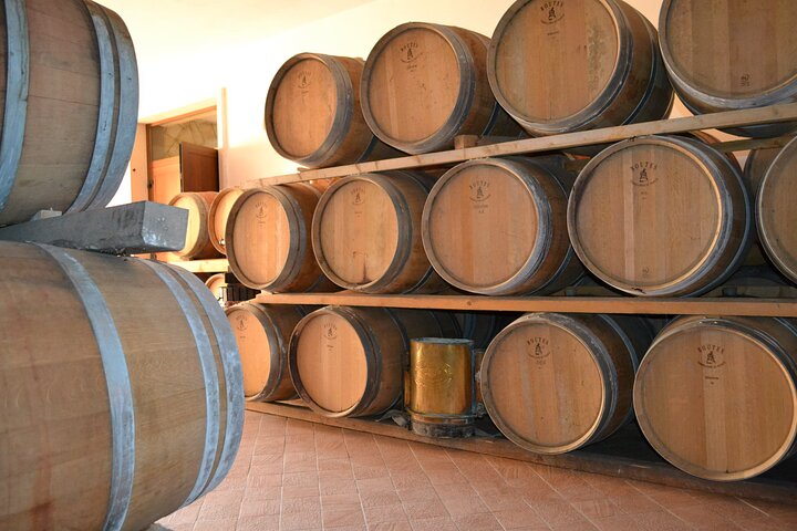 Amarone Della Valpolicella vinopplevelse - Møt Vogadori-familien