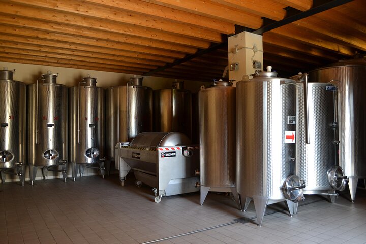 Amarone Della Valpolicella vinopplevelse - Møt Vogadori-familien