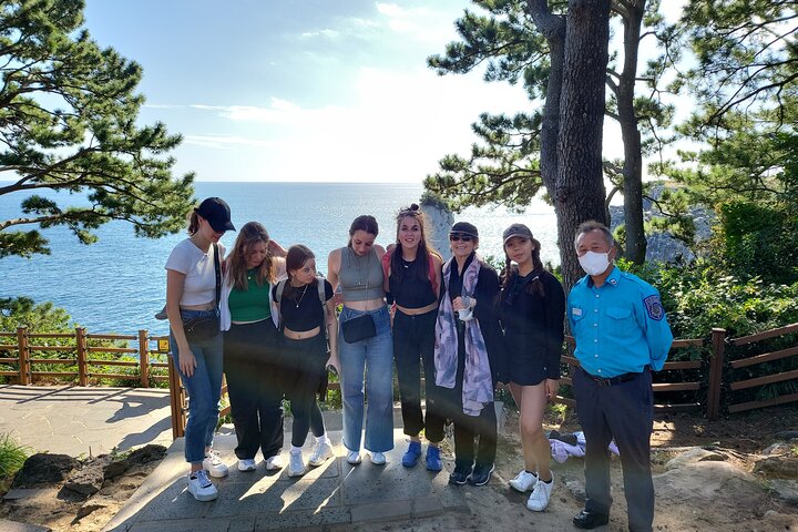 Tour privado de un día en el sur y el oeste en la isla de Jeju