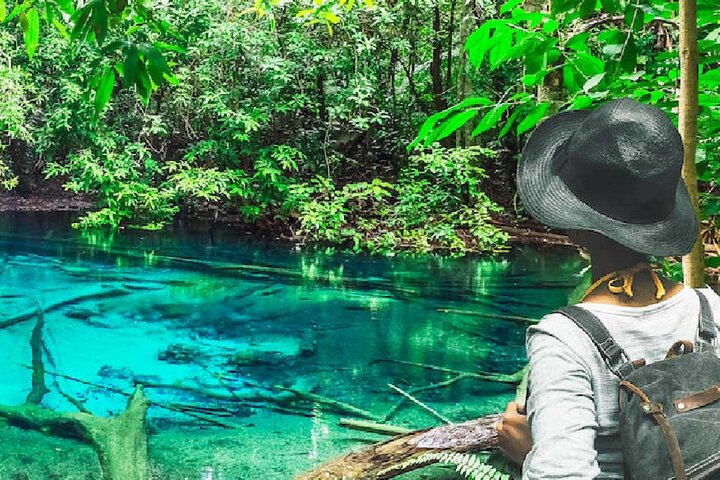 Krabi: Tiger Cave, Emerald Pool og Hot Springs lille gruppe tur