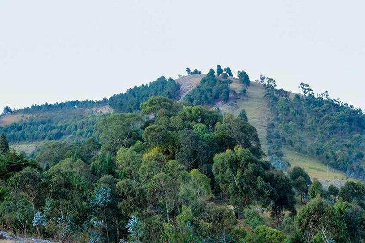 Small Group Guided Shared Tour To Gishora Drum Sanctuary From Bujumbura