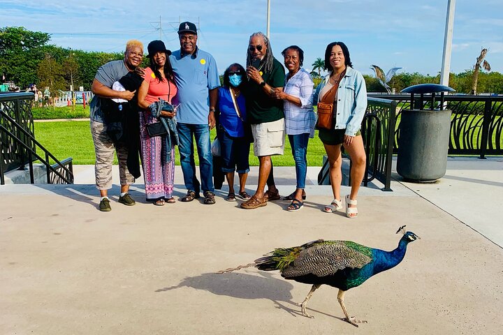 Everglades Small-Group Tour from Miami with Transportation
