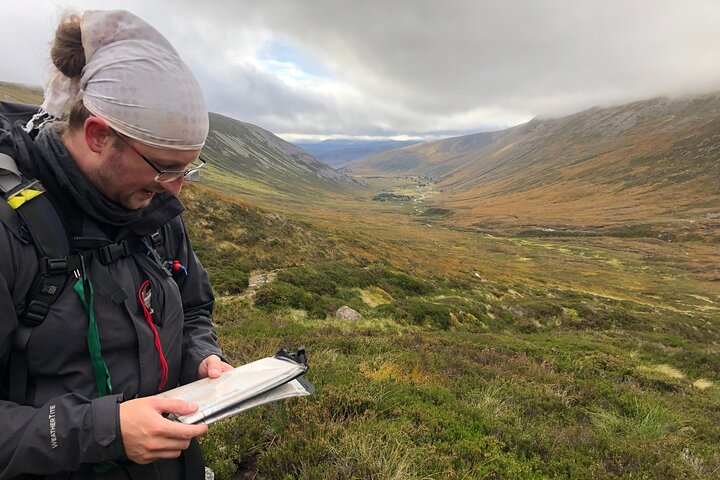 Privat guidet bjergvandringsoplevelse i Cairngorms