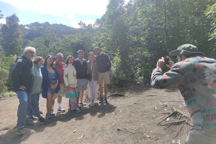 Privétour naar Sintra vanuit Lissabon - paleizen, tuinen en kust