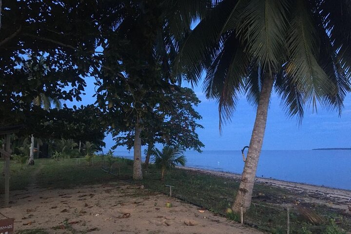 Croisière dans la mangrove avec visite des lucioles incluant le dîner de Sandakan