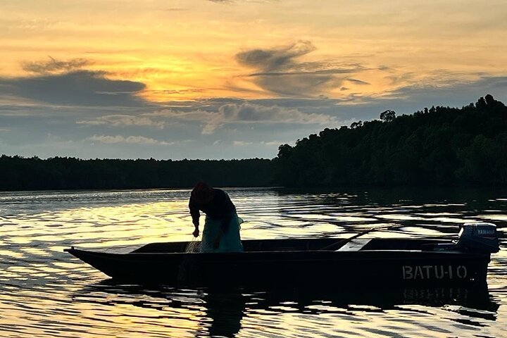 Croisière dans la mangrove avec visite des lucioles incluant le dîner de Sandakan