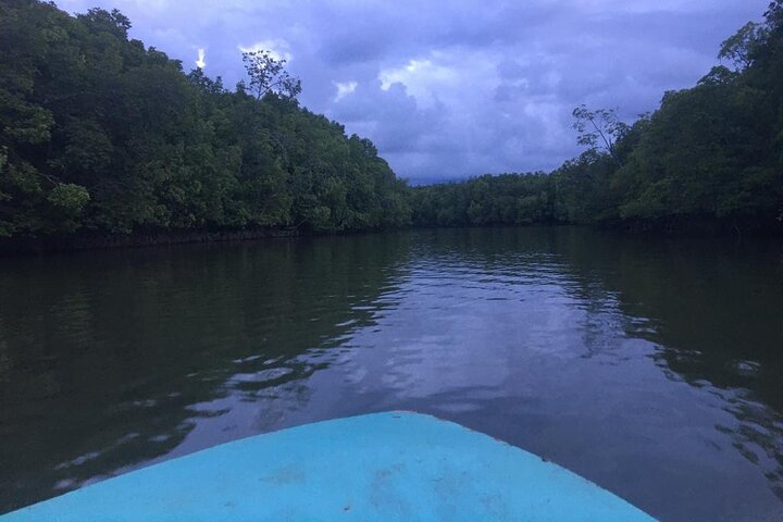 Croisière dans la mangrove avec visite des lucioles incluant le dîner de Sandakan