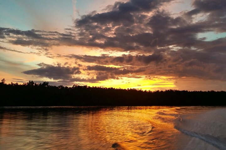Croisière dans la mangrove avec visite des lucioles incluant le dîner de Sandakan
