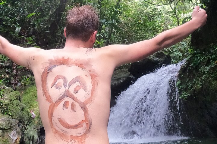 FORFAIT TOUR (trekking dans la jungle, taxi, chambre) 4 JOURS 3 NUITS à BUKIT LAWANG