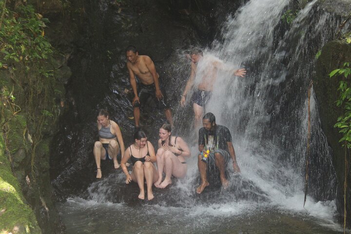 FORFAIT TOUR (trekking dans la jungle, taxi, chambre) 4 JOURS 3 NUITS à BUKIT LAWANG