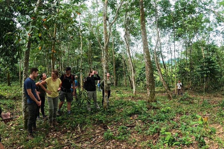 FORFAIT TOUR (trekking dans la jungle, taxi, chambre) 4 JOURS 3 NUITS à BUKIT LAWANG