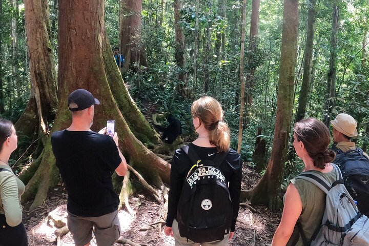 FORFAIT TOUR (trekking dans la jungle, taxi, chambre) 4 JOURS 3 NUITS à BUKIT LAWANG