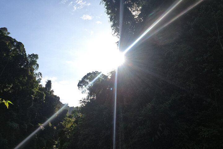 FORFAIT TOUR (trekking dans la jungle, taxi, chambre) 4 JOURS 3 NUITS à BUKIT LAWANG