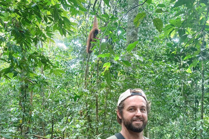 FORFAIT TOUR (trekking dans la jungle, taxi, chambre) 4 JOURS 3 NUITS à BUKIT LAWANG