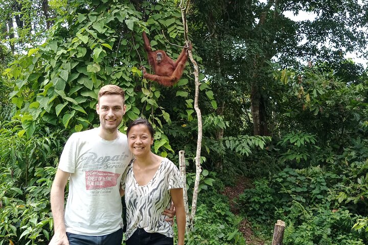 FORFAIT TOUR (trekking dans la jungle, taxi, chambre) 4 JOURS 3 NUITS à BUKIT LAWANG