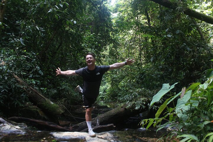 FORFAIT TOUR (trekking dans la jungle, taxi, chambre) 4 JOURS 3 NUITS à BUKIT LAWANG