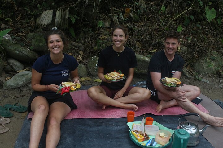 FORFAIT TOUR (trekking dans la jungle, taxi, chambre) 4 JOURS 3 NUITS à BUKIT LAWANG