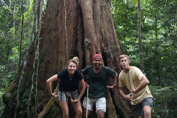 FORFAIT TOUR (trekking dans la jungle, taxi, chambre) 4 JOURS 3 NUITS à BUKIT LAWANG