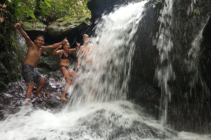 FORFAIT TOUR (trekking dans la jungle, taxi, chambre) 4 JOURS 3 NUITS à BUKIT LAWANG