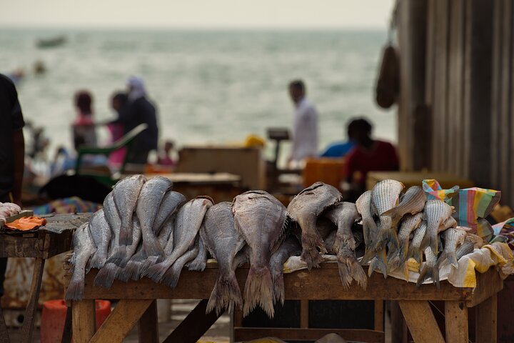 Il meglio del tour di Nouakchott in auto