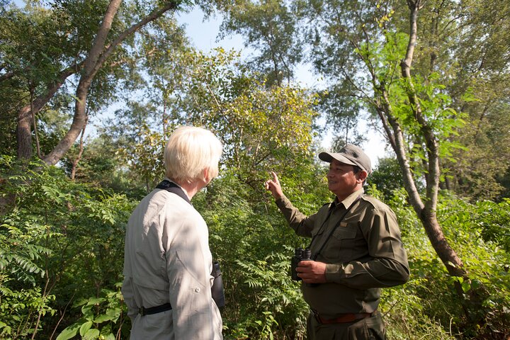 Paquete del Parque Nacional Bardia con Tiger Tops Karnali Lodge