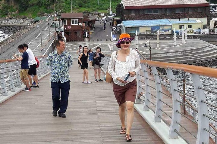 Tour privado de un día en el sur y el oeste en la isla de Jeju