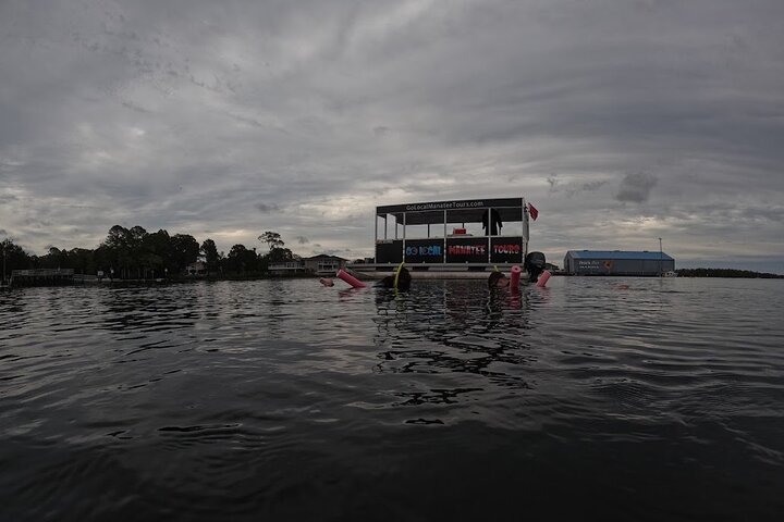 Natación de manatí todo incluido para grupos pequeños de 3 horas con foto gratis pkg