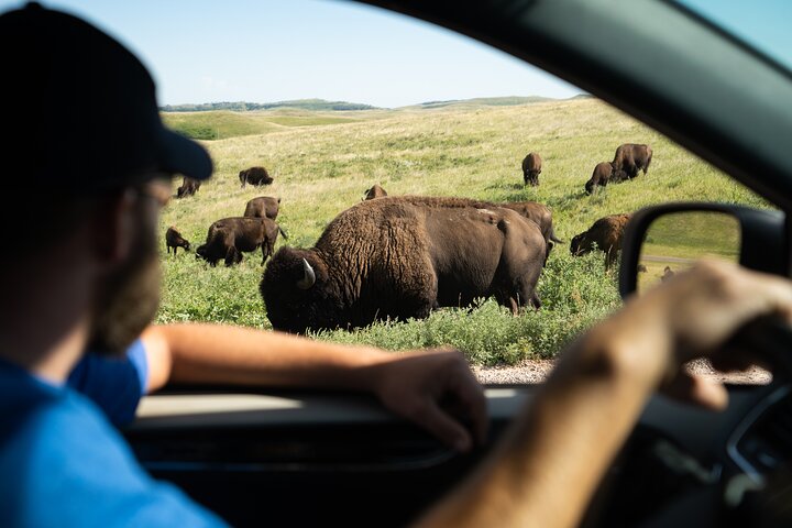 Tour audio di guida autoguidato del Parco Nazionale di Yellowstone