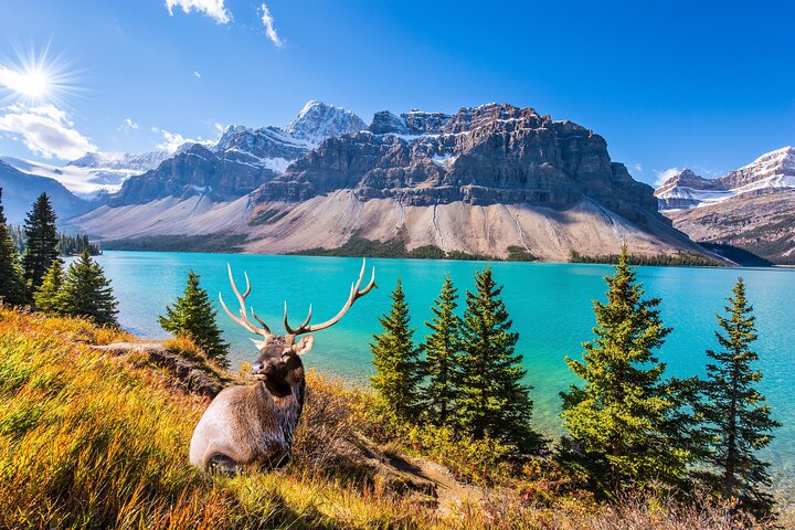 Tour audio di guida autoguidato del Parco Nazionale delle Montagne Rocciose