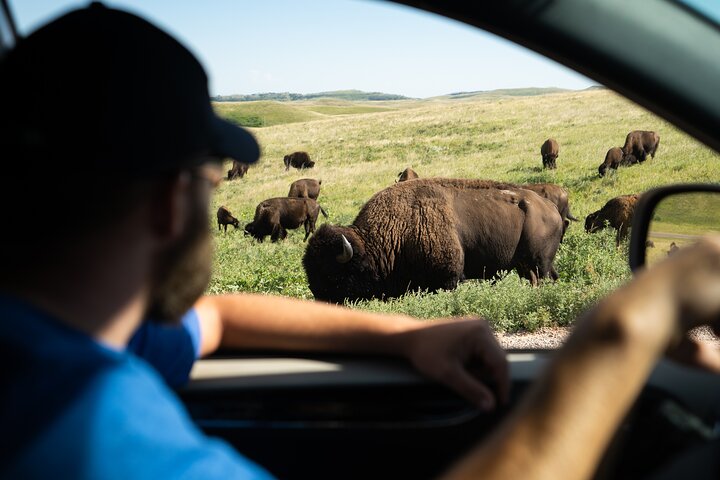 Forfait de visites en voiture autoguidées à Grand Teton et Yellowstone