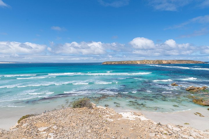 Tour di mezza giornata in fuoristrada del Coffin Bay National Park