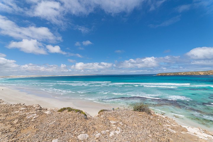 Tour di mezza giornata in fuoristrada del Coffin Bay National Park