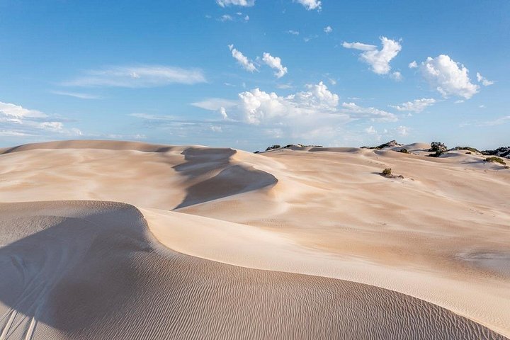 Tour di mezza giornata in fuoristrada del Coffin Bay National Park