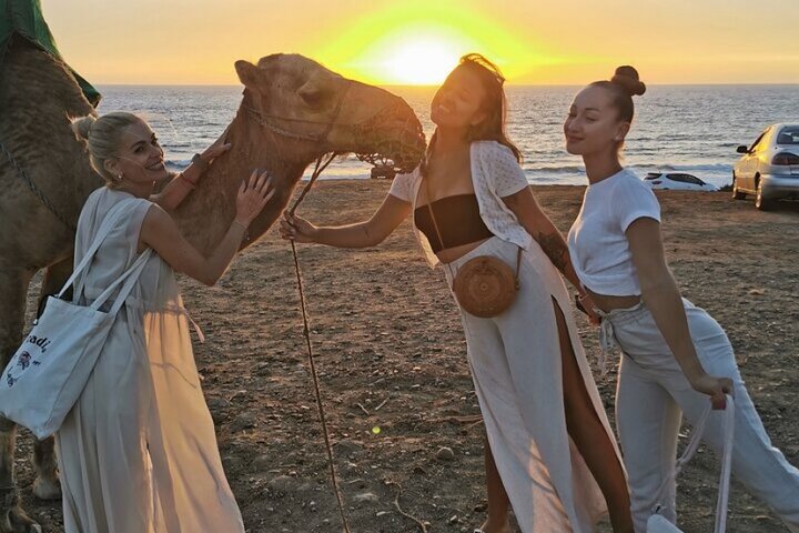 luxury 4 Hour Private Tour of Tangier