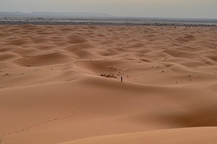 Privat dagstur från Erfoud till Merzougaöknen med lunch
