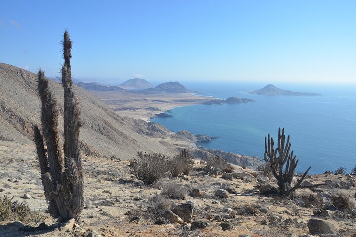 Parcs nationaux du Pain de Sucre et des Plaines de Challé depuis La Serena