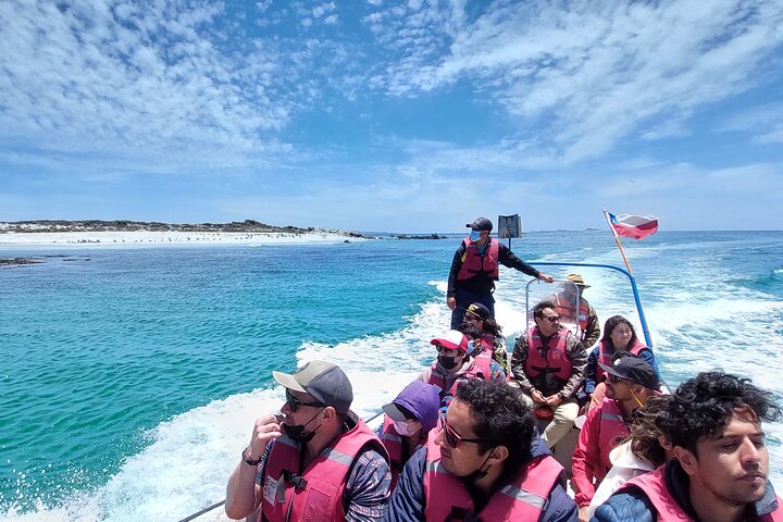Vandretur/sejlads på Isla Damas til 3 øer i Humboldt Penguin Reserve
