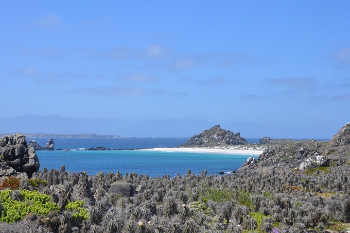 Vandretur/sejlads på Isla Damas til 3 øer i Humboldt Penguin Reserve