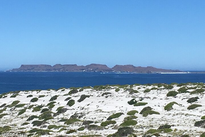 Vandretur/sejlads på Isla Damas til 3 øer i Humboldt Penguin Reserve