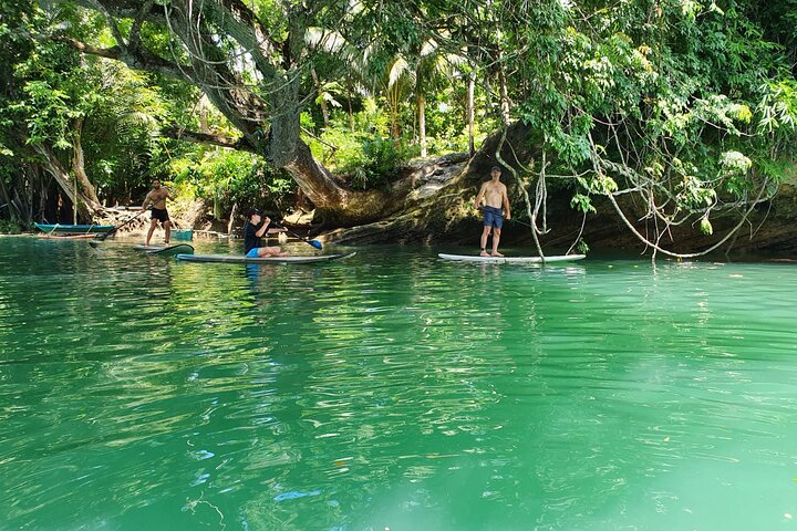 Bohol Countryside Tour: Chocolate Hills, Tarsier og Loboc River