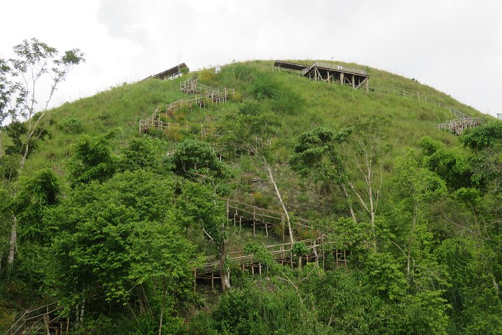 Bohol Countryside Tour: Chocolate Hills, Tarsier og Loboc River