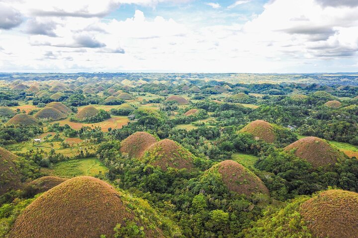 Bohol Countryside Tour: Chocolate Hills, Tarsier og Loboc River