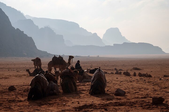 Excursion d'une journée en jeep dans le Wadi Rum (y compris le pique-nique bédouin)