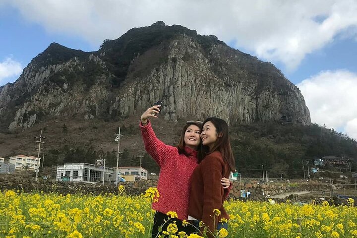 Tour privado de un día en el sur y el oeste en la isla de Jeju