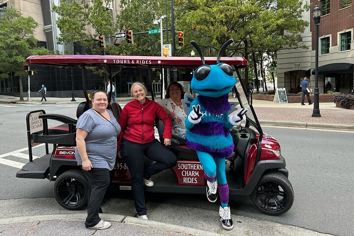 Charlottes ultimate Southern Charm Historical City Cart Tour