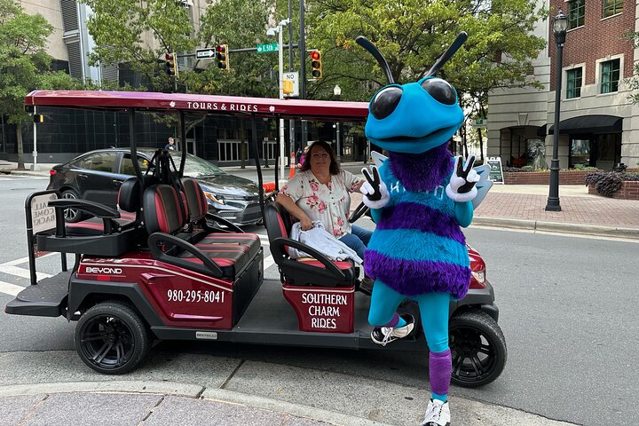 Charlottes ultimate Southern Charm Historical City Cart Tour