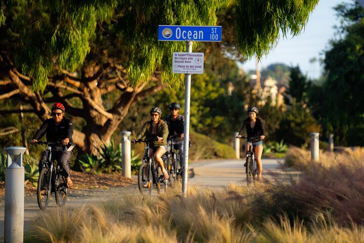 Lyxig guidad elektrisk cykeltur till Torrey Pines