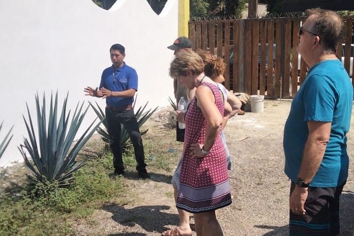 Recorrido Privado de Día Entero a Sayulita y San Pancho