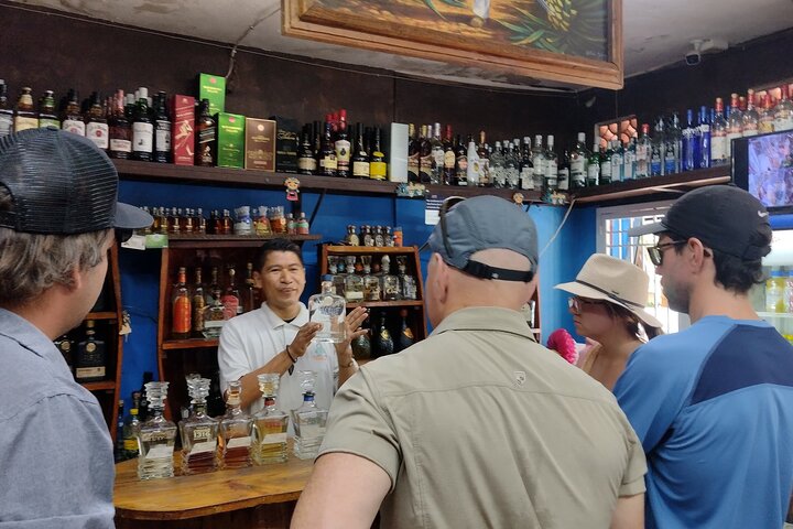 Recorrido Privado de Día Entero a Sayulita y San Pancho