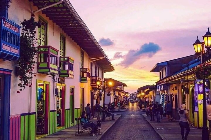Salento, Cocora e Filandia Private Tour de Pereira ou Armênia